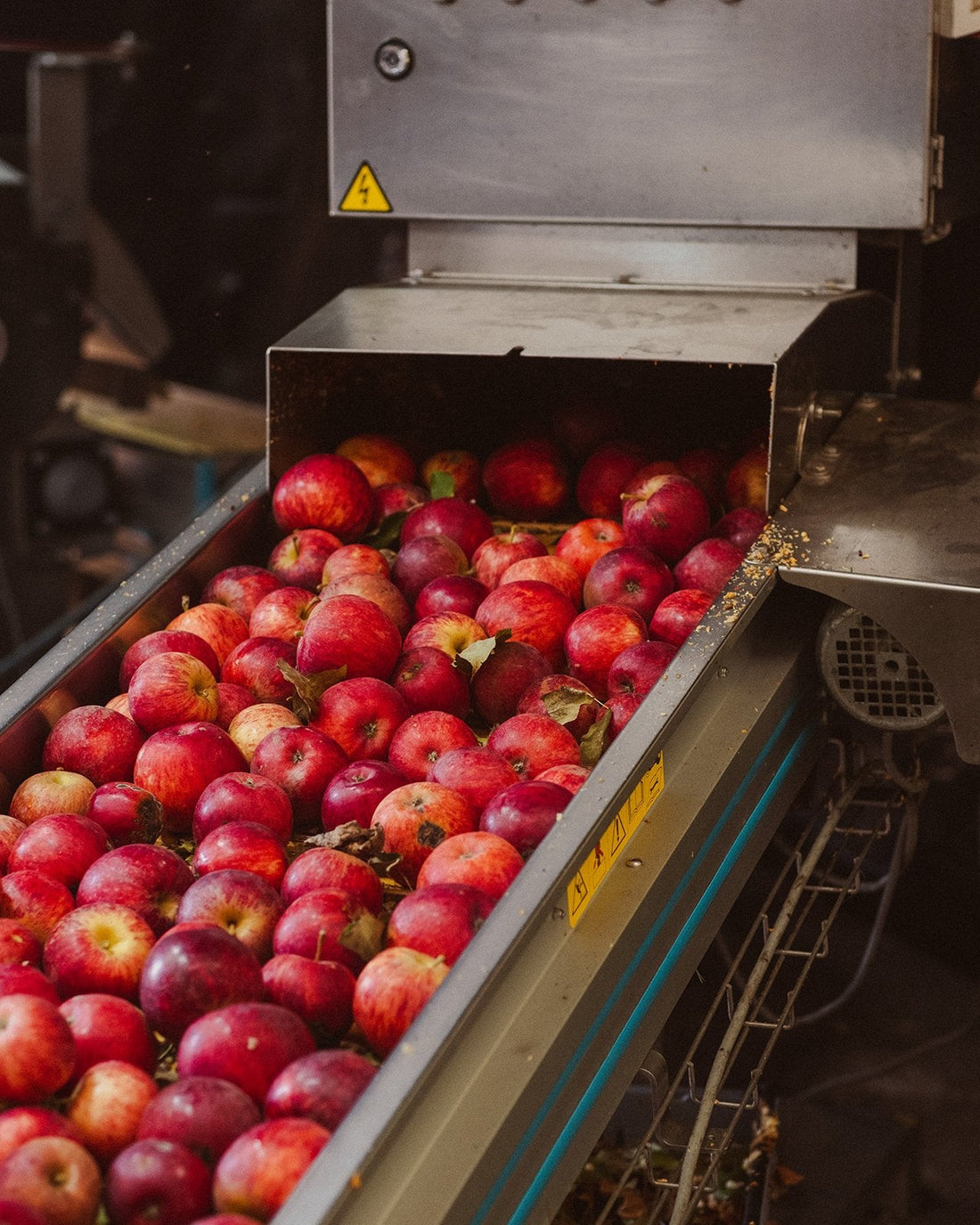 Does Apple Cider Vinegar Go Bad?