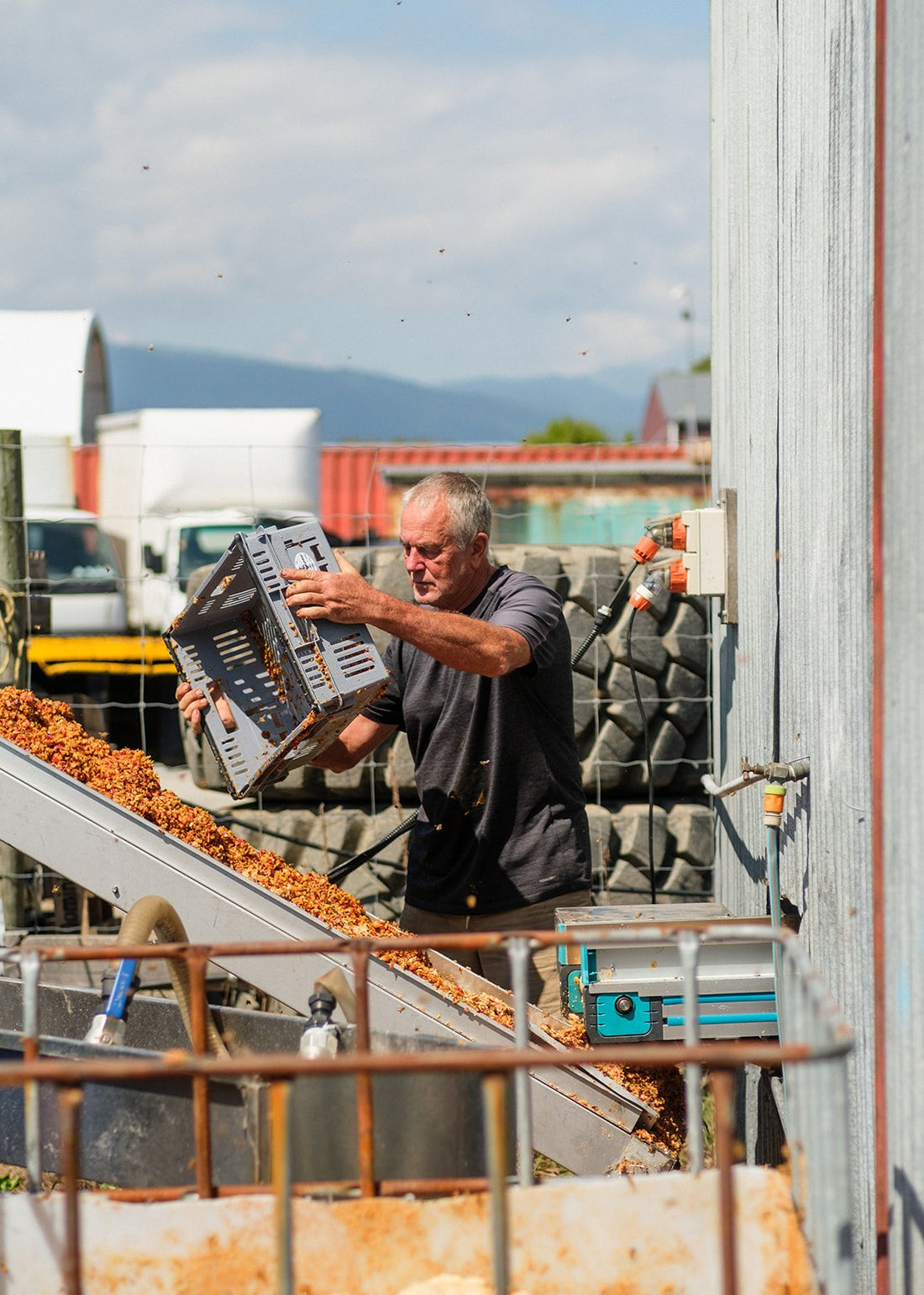 Recipe: Super Anti-Inflammatory ACV & Turmeric Shot
