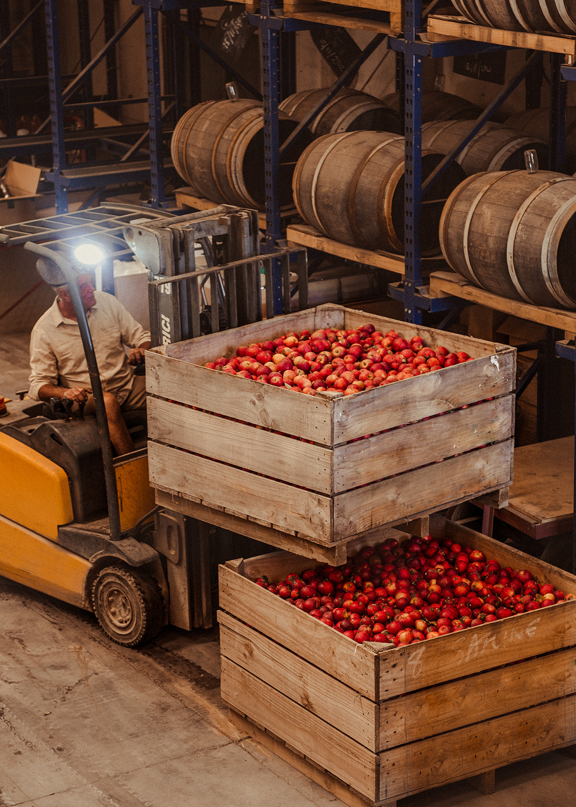 Kim operating a forklift with crates of apples in a warehouse setting