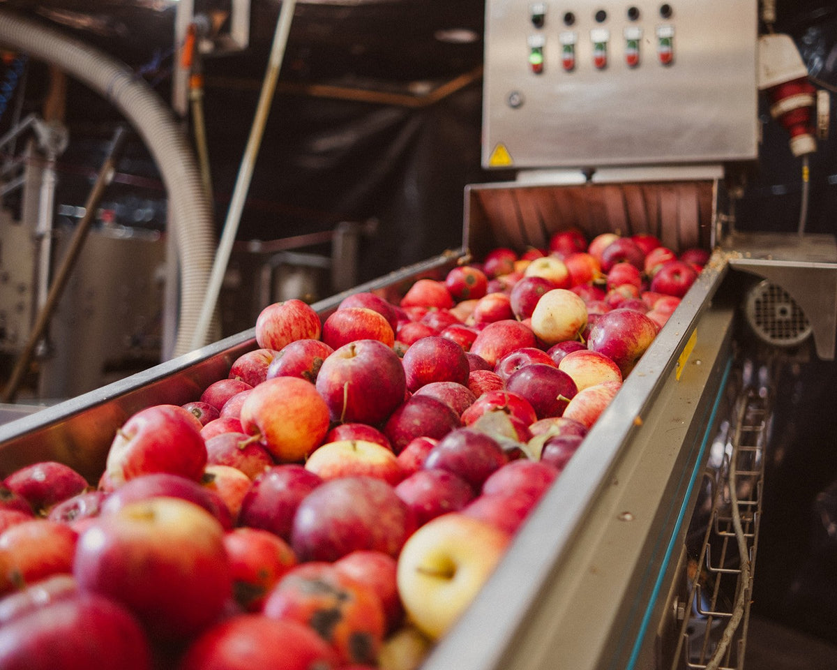 Apple Cider Vinegar and Weightloss with Miraculoss: Video