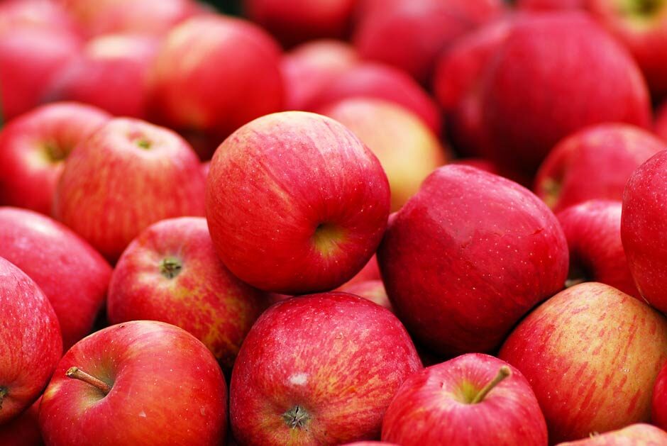 Apple Harvest & Processing – Making Organic Apple Cider Vinegar: Video