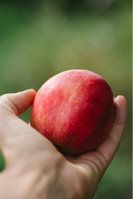 Close-up of a hand holding a fresh red apple with a few water droplets, set against a blurred natural background.