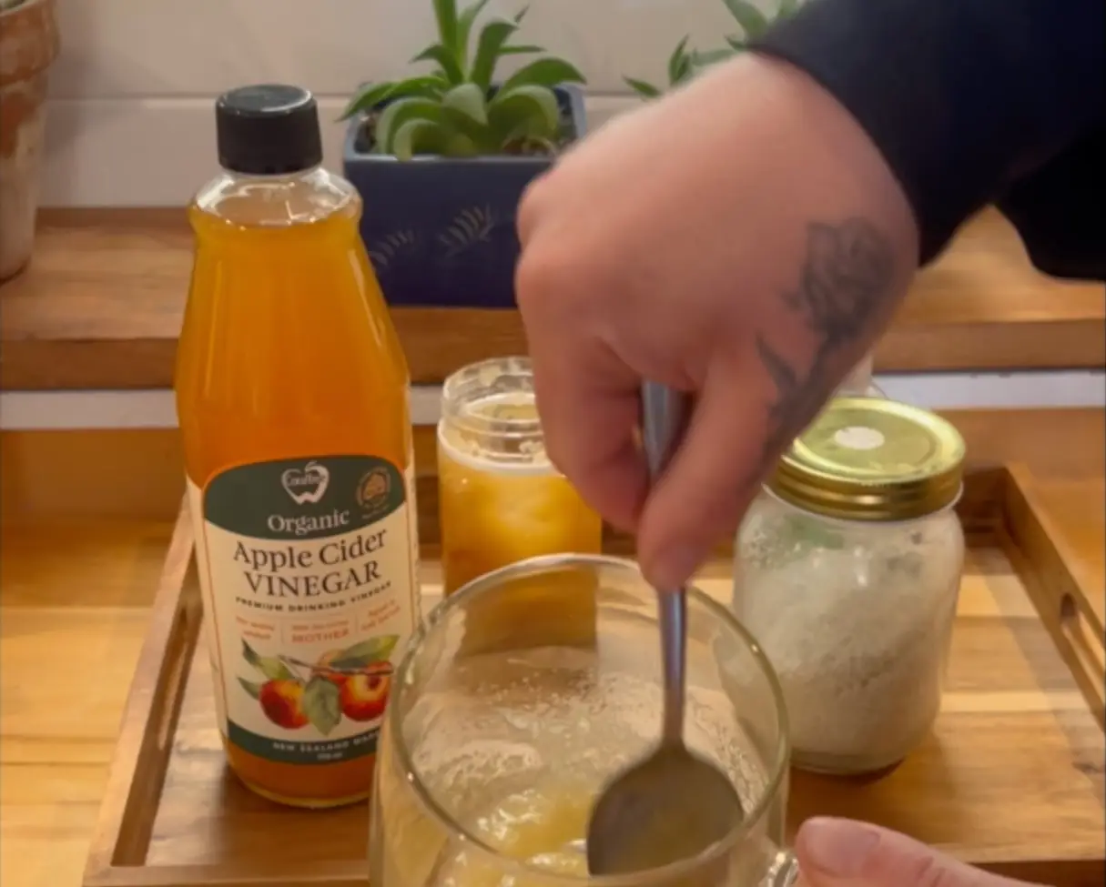 Zhana's Apple Cider Vinegar Homemade Electrolyte Drink